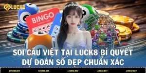 Soi Cầu Việt